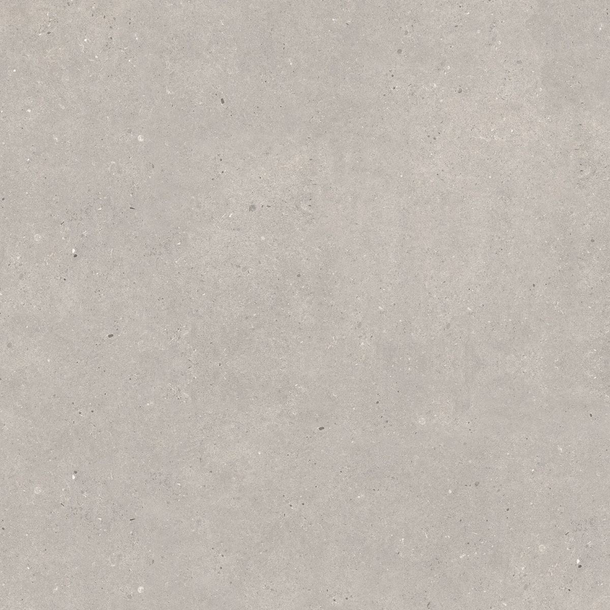 Altantis Grey
