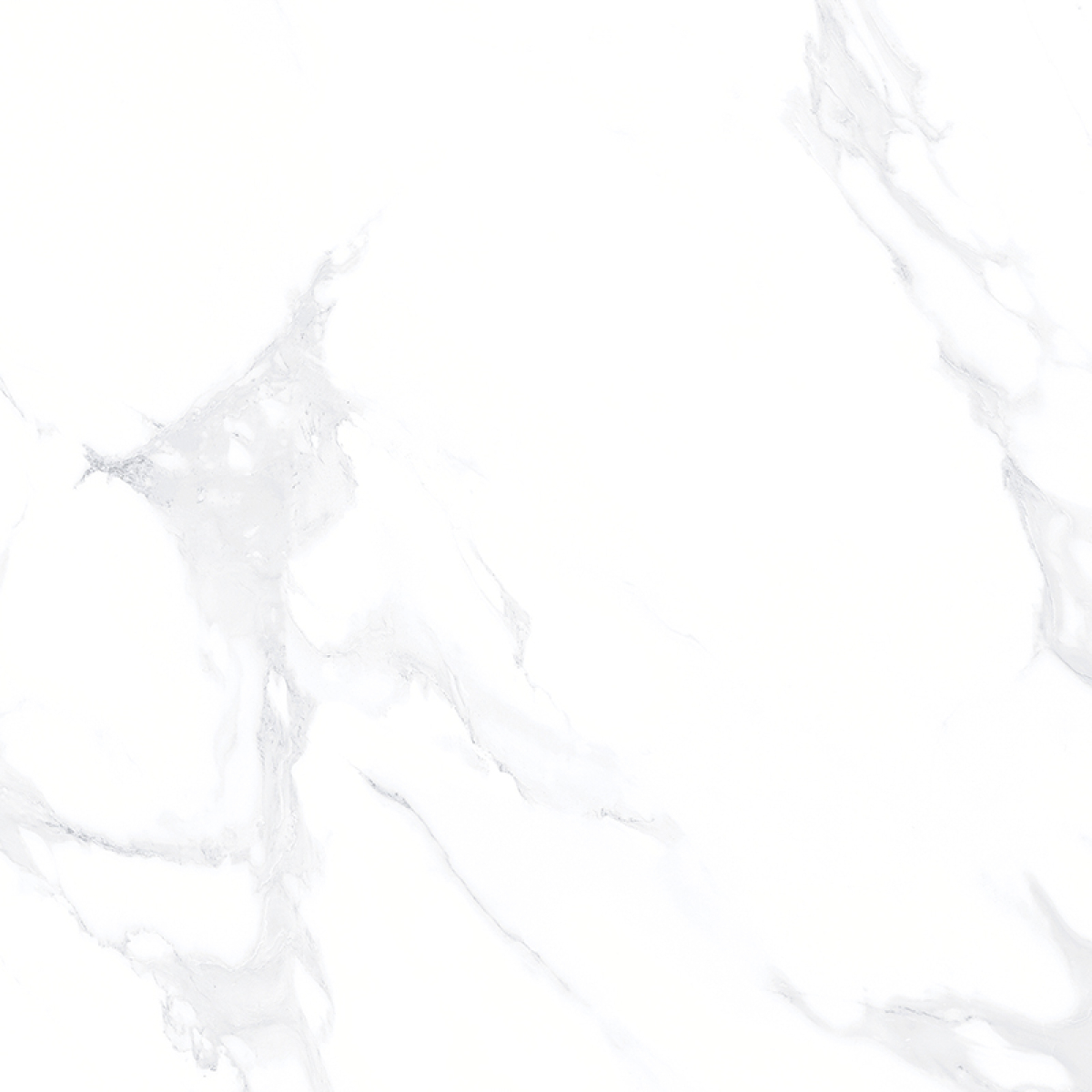 CARRARA GREY NEW